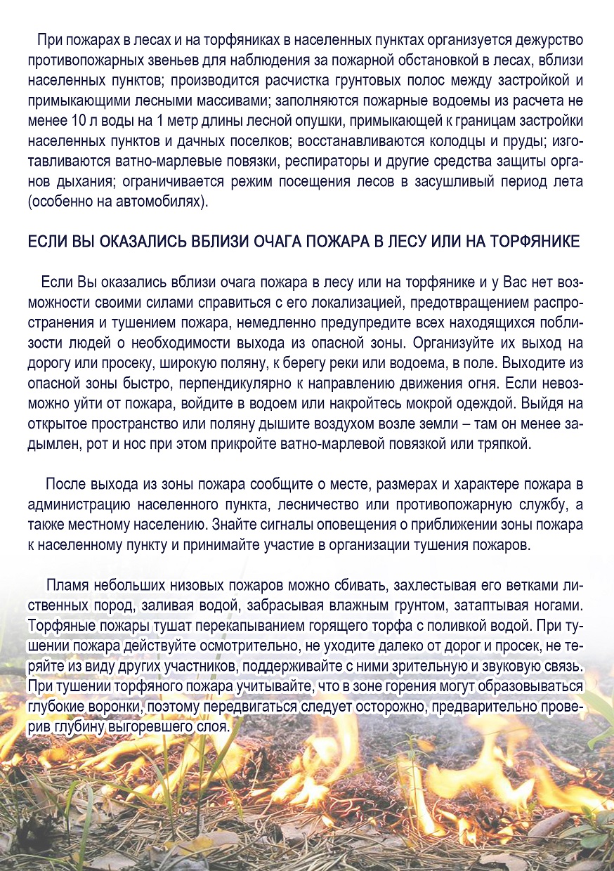 пожары в лесах и на торфянниках 2.jpg